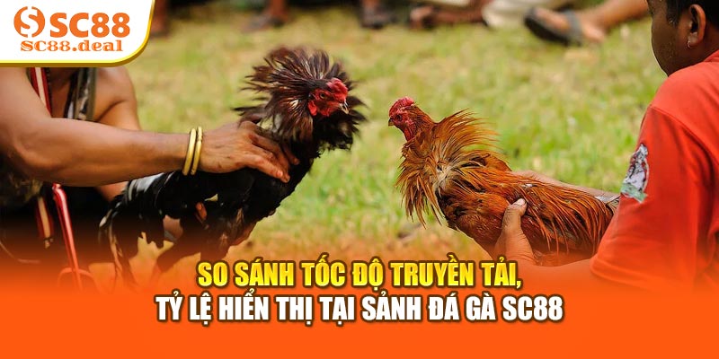 So sánh tốc độ truyền tải, tỷ lệ hiển thị tại sảnh đá gà SC88